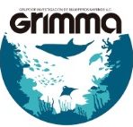 Grimma A. C. logo